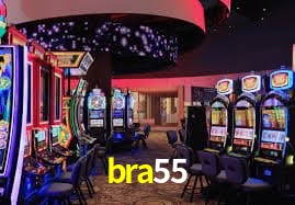 Sistemas de Segurança bra55