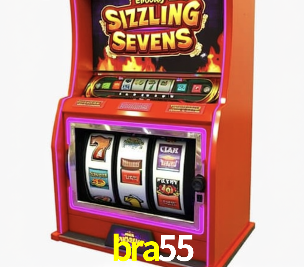 Security Systems bra55